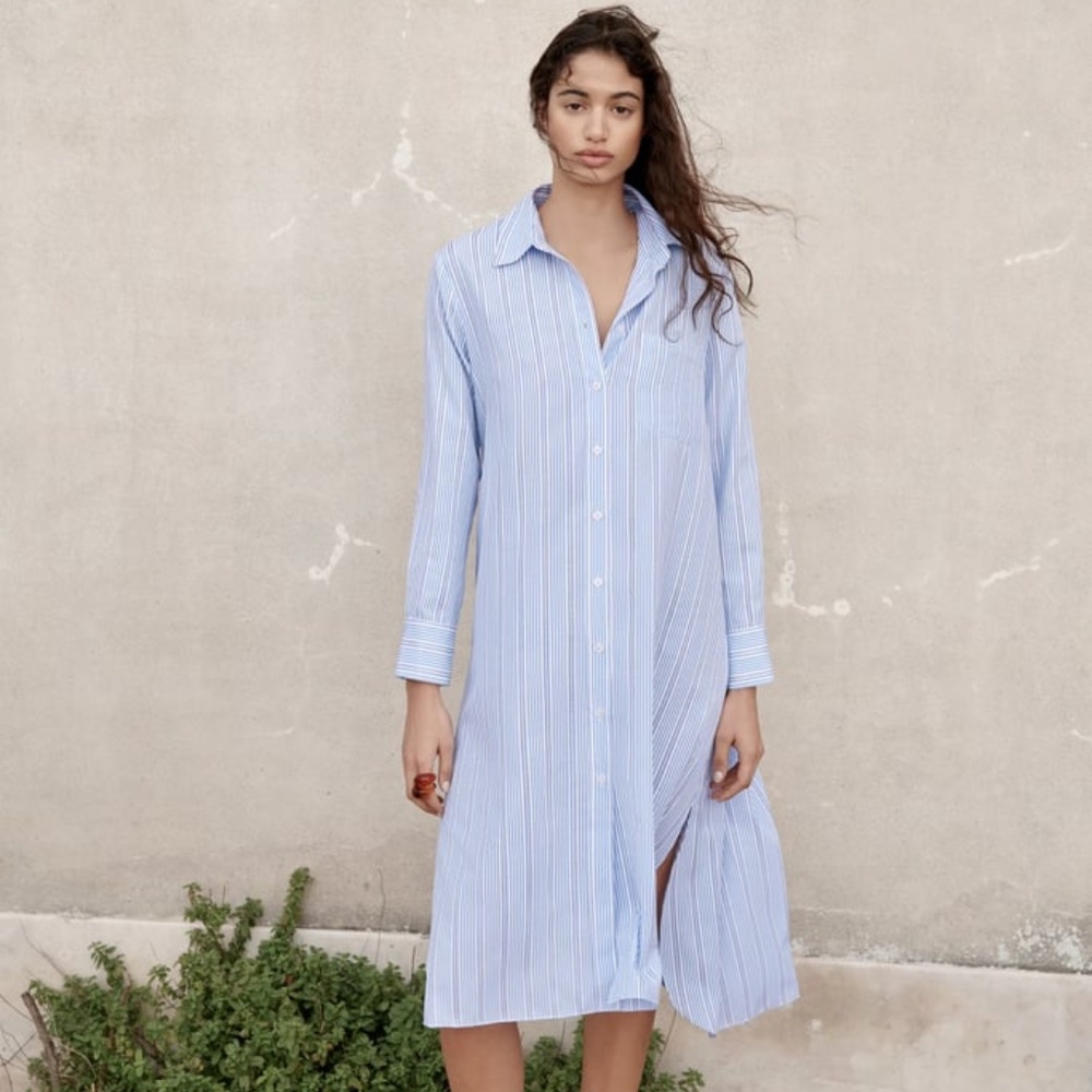 Zara blue button down midi dress